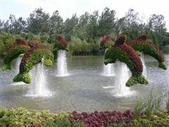 Topiary Photos
